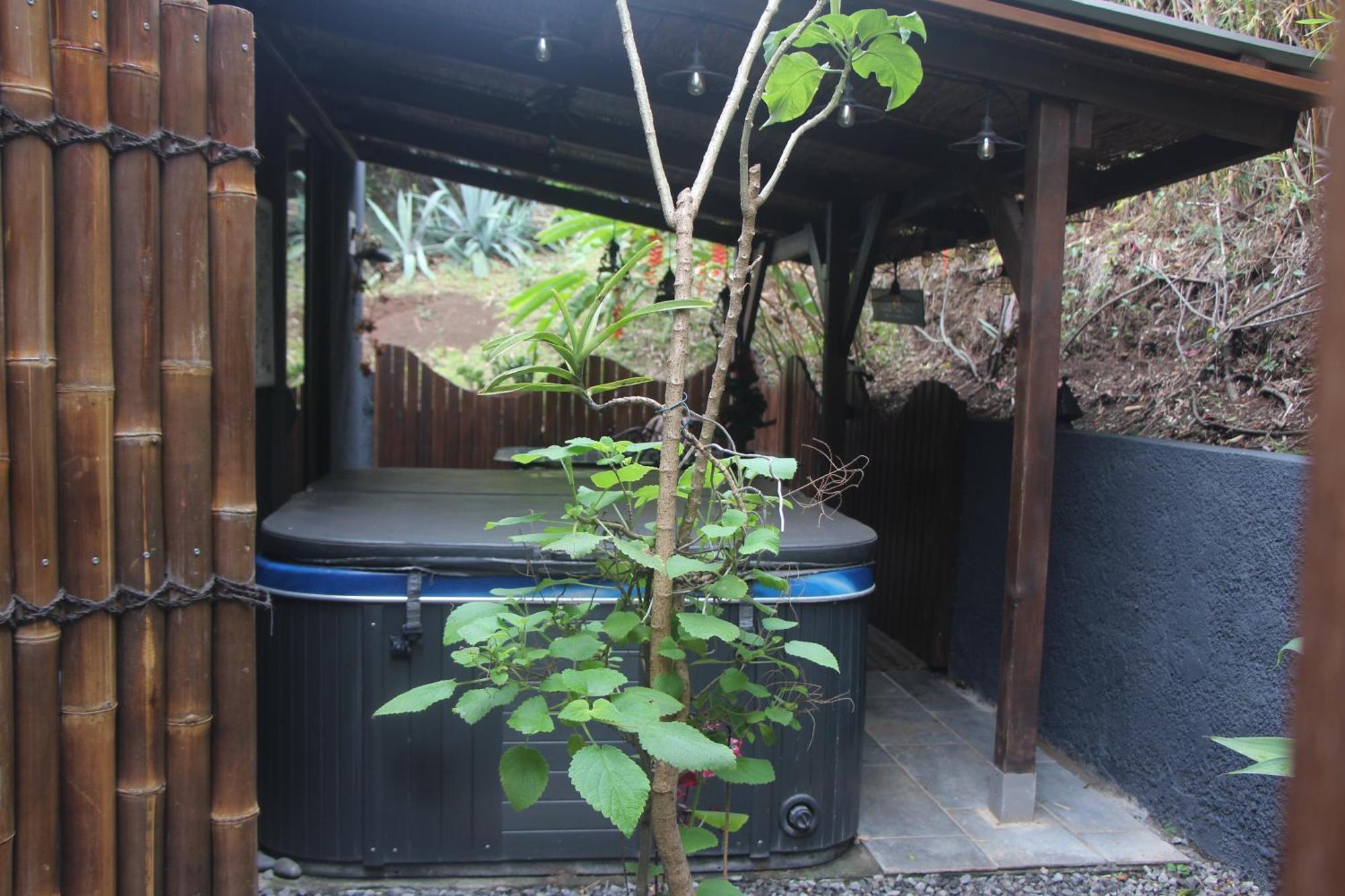 La Liane De Jade 974-Lodge Le Palissandre - Jacuzzi Privatif - Piscine Chauffee Le Bois de Nefles  Zewnętrze zdjęcie